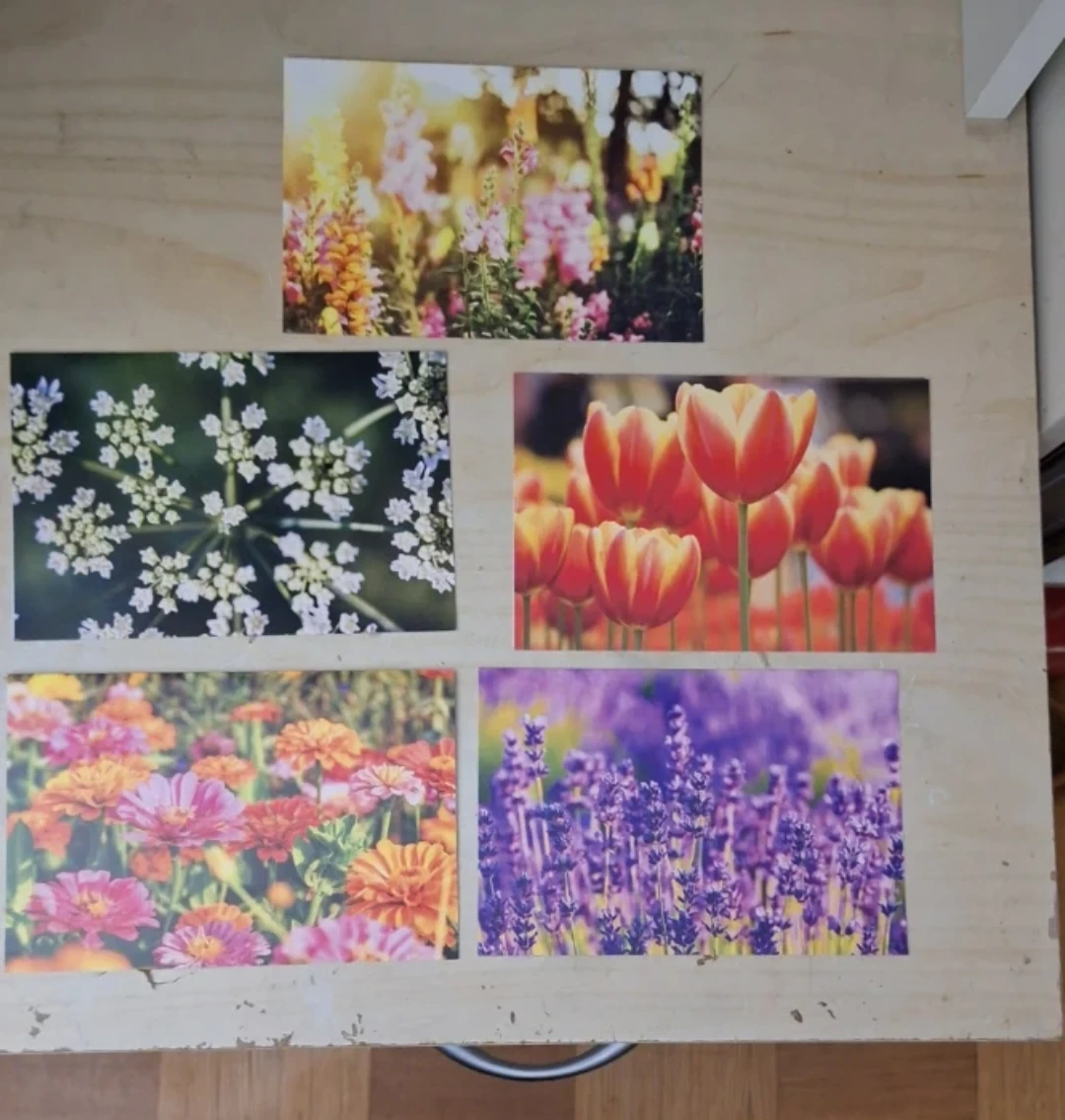 Set of 5 Floral Note Cards🏈