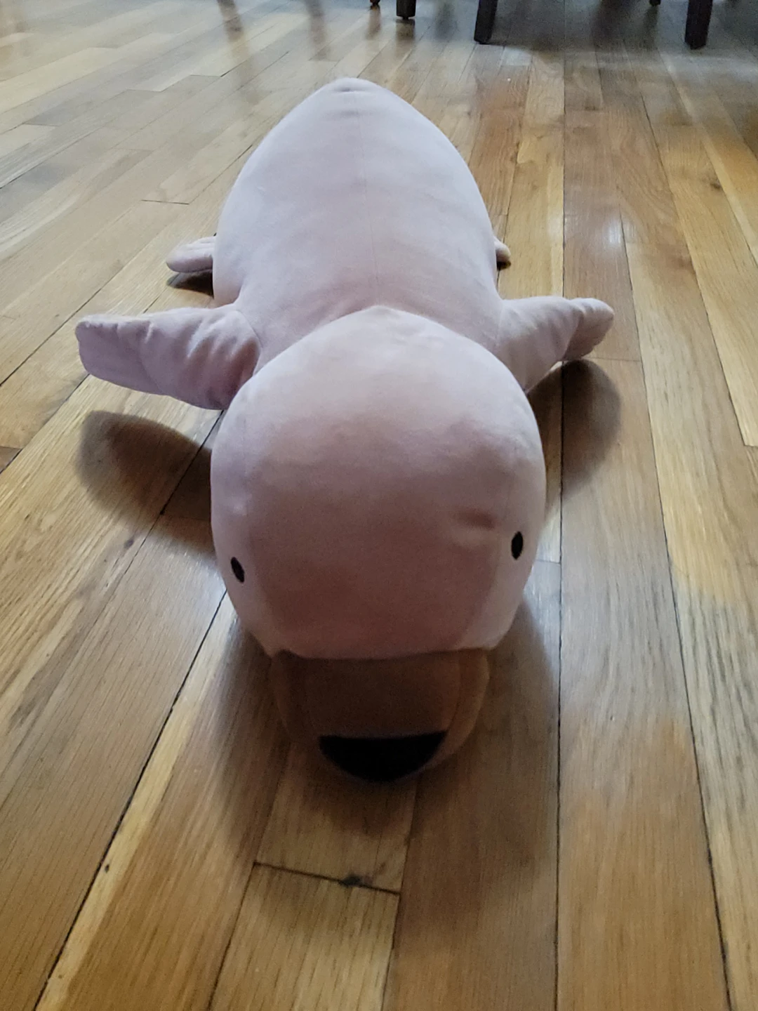 Seal Plush Toy