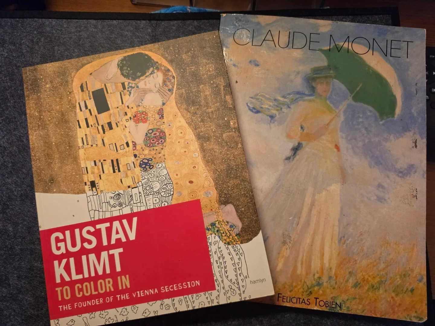 Set of 2 Art Books: Gustav Klimt and Claude Monet 🏈