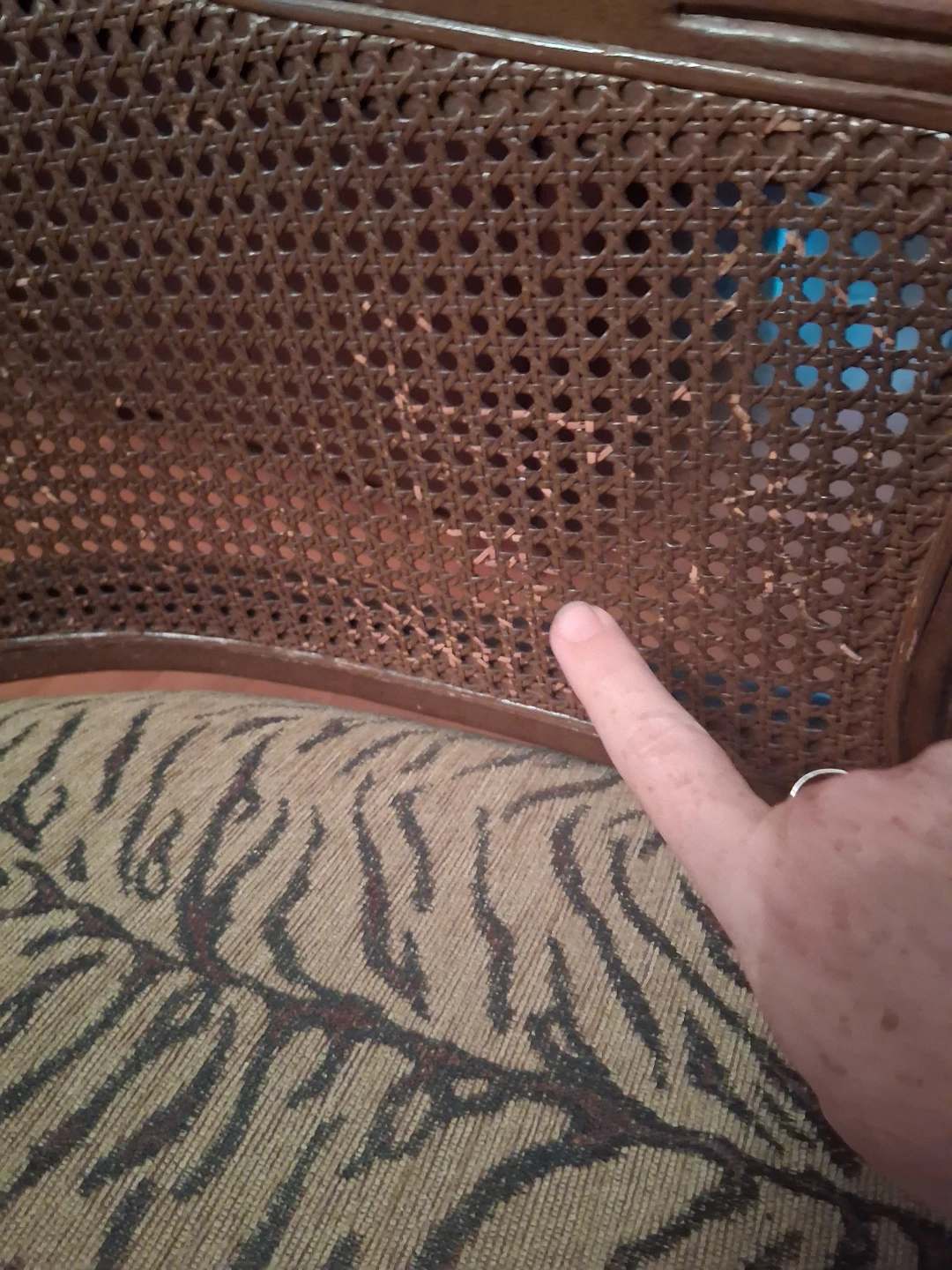 Vintage cane back chair with tiger print seat - photo 3