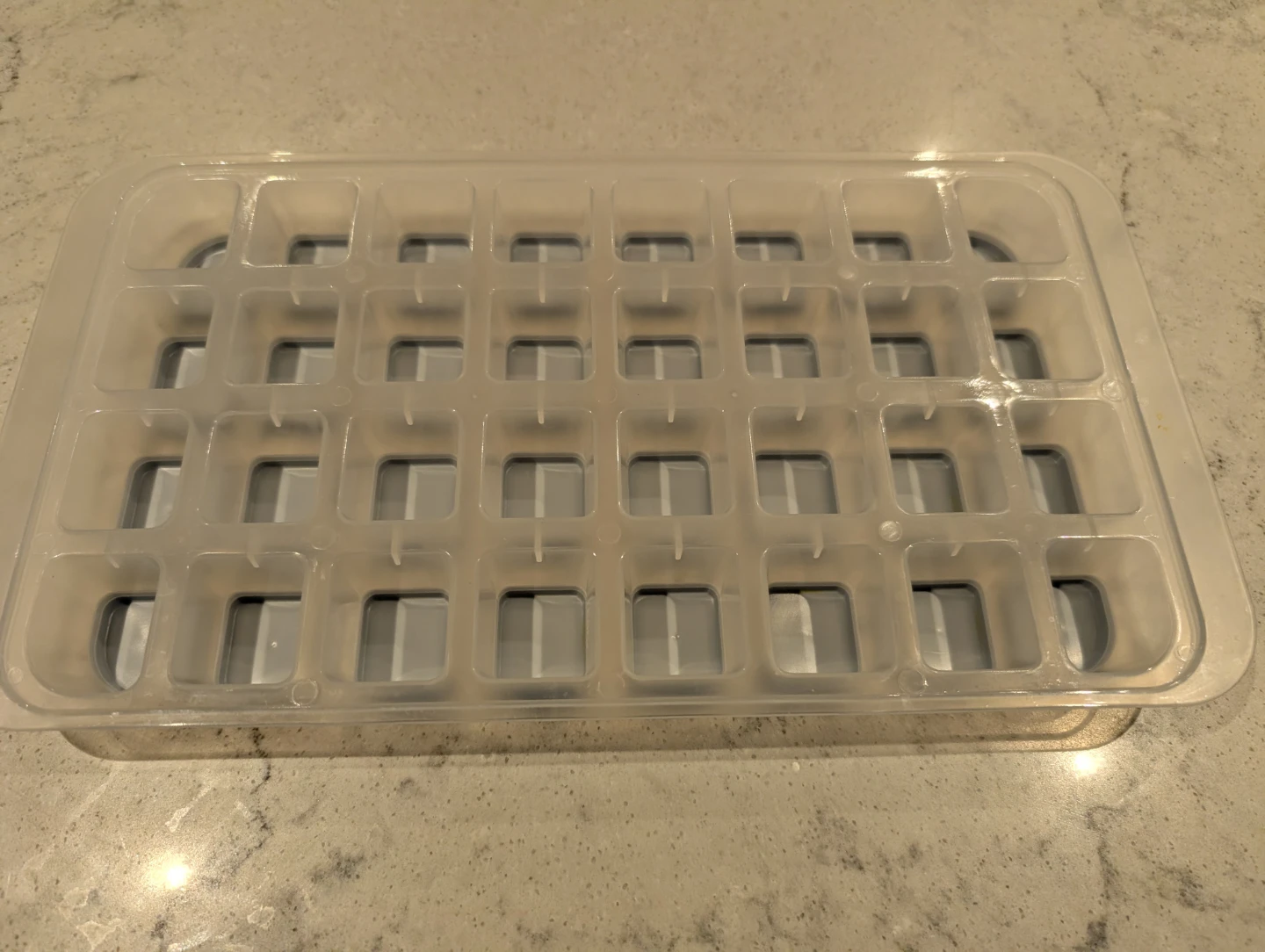 Clear Plastic Ice Cube Tray - photo 3