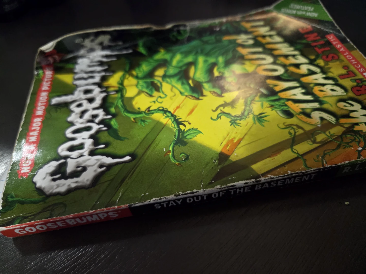 Goosebumps: Stay Out of the Basement by R.L. Stine - photo 2