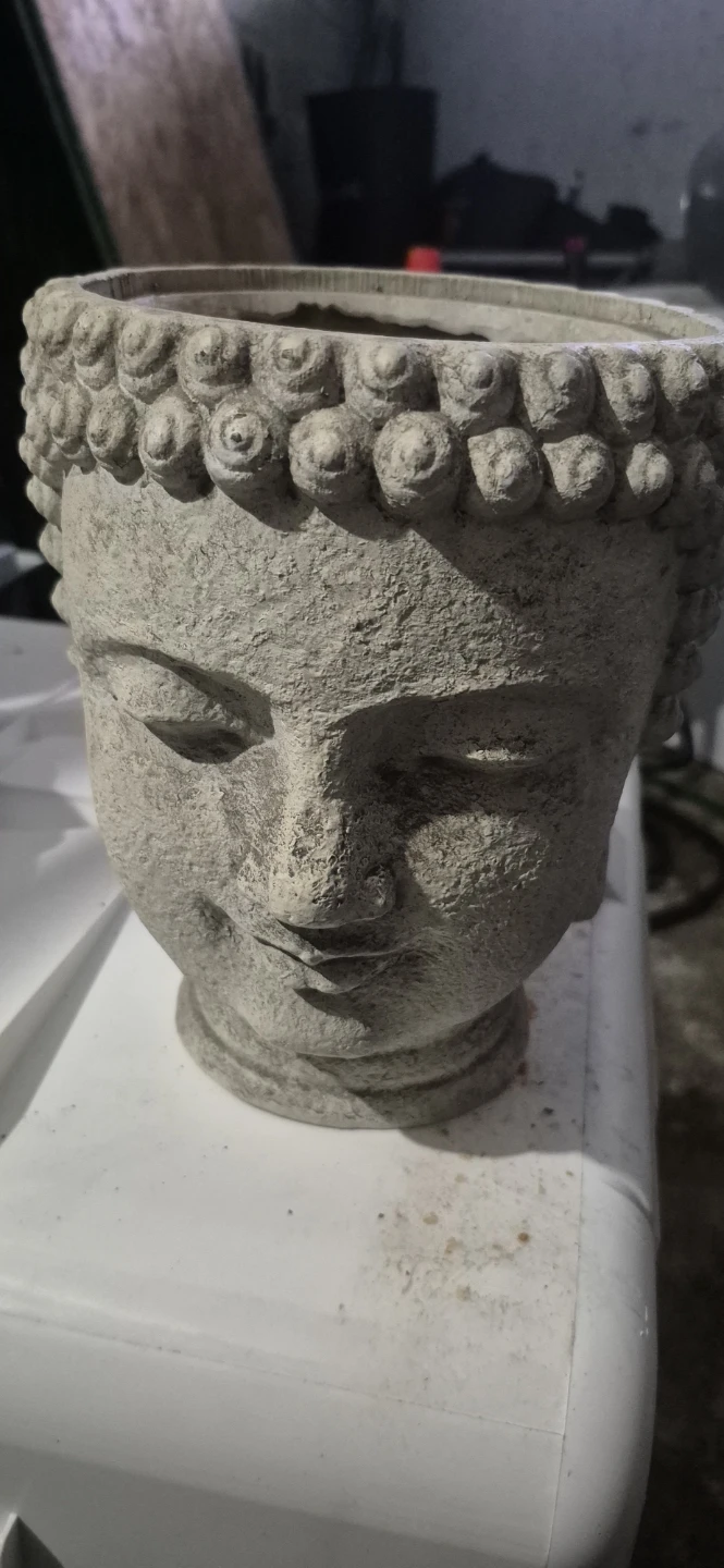 Stone-look Buddha head planter - photo 3