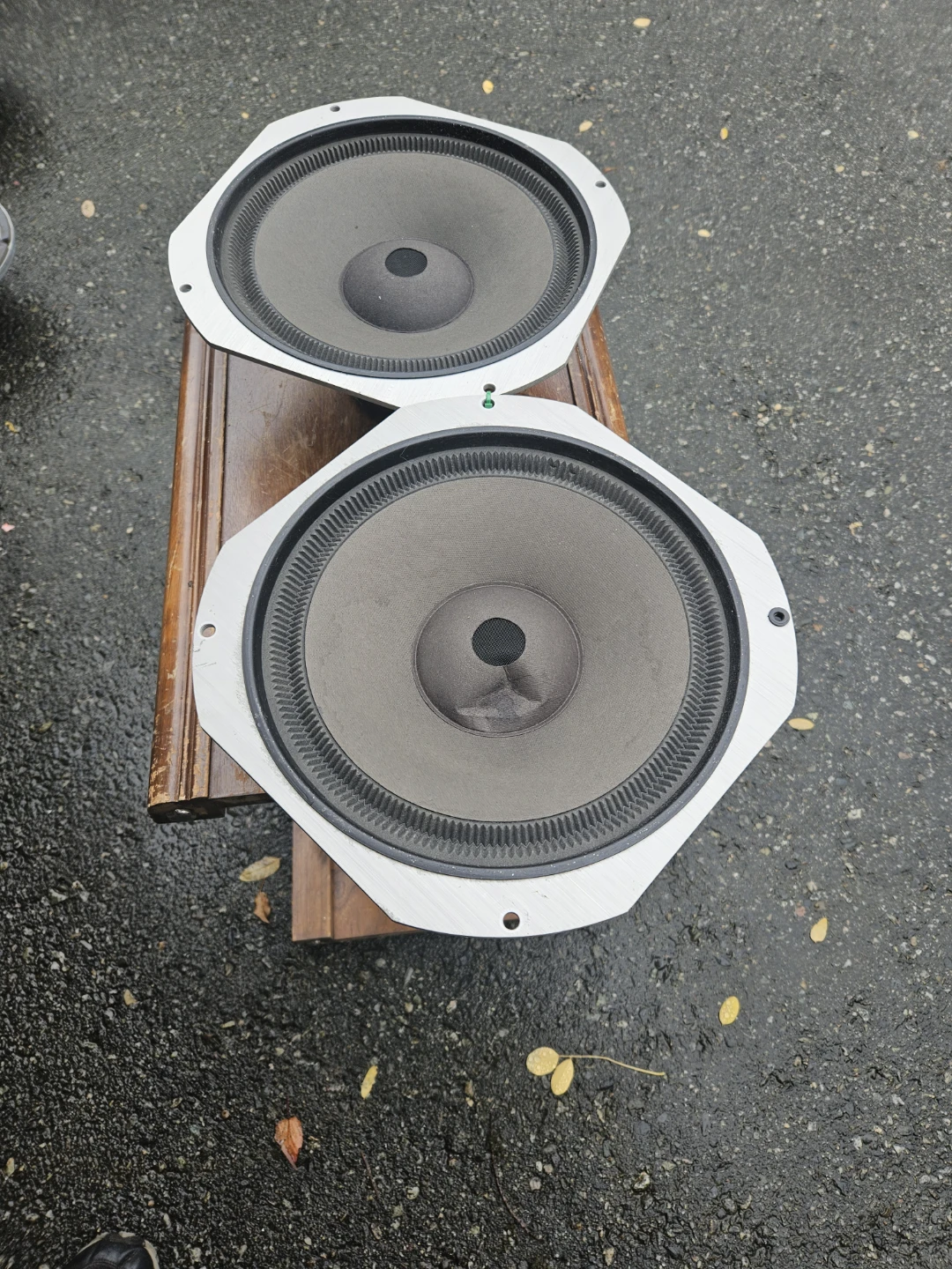 Pair of 14-inch Replacement Speaker Drivers - photo 4