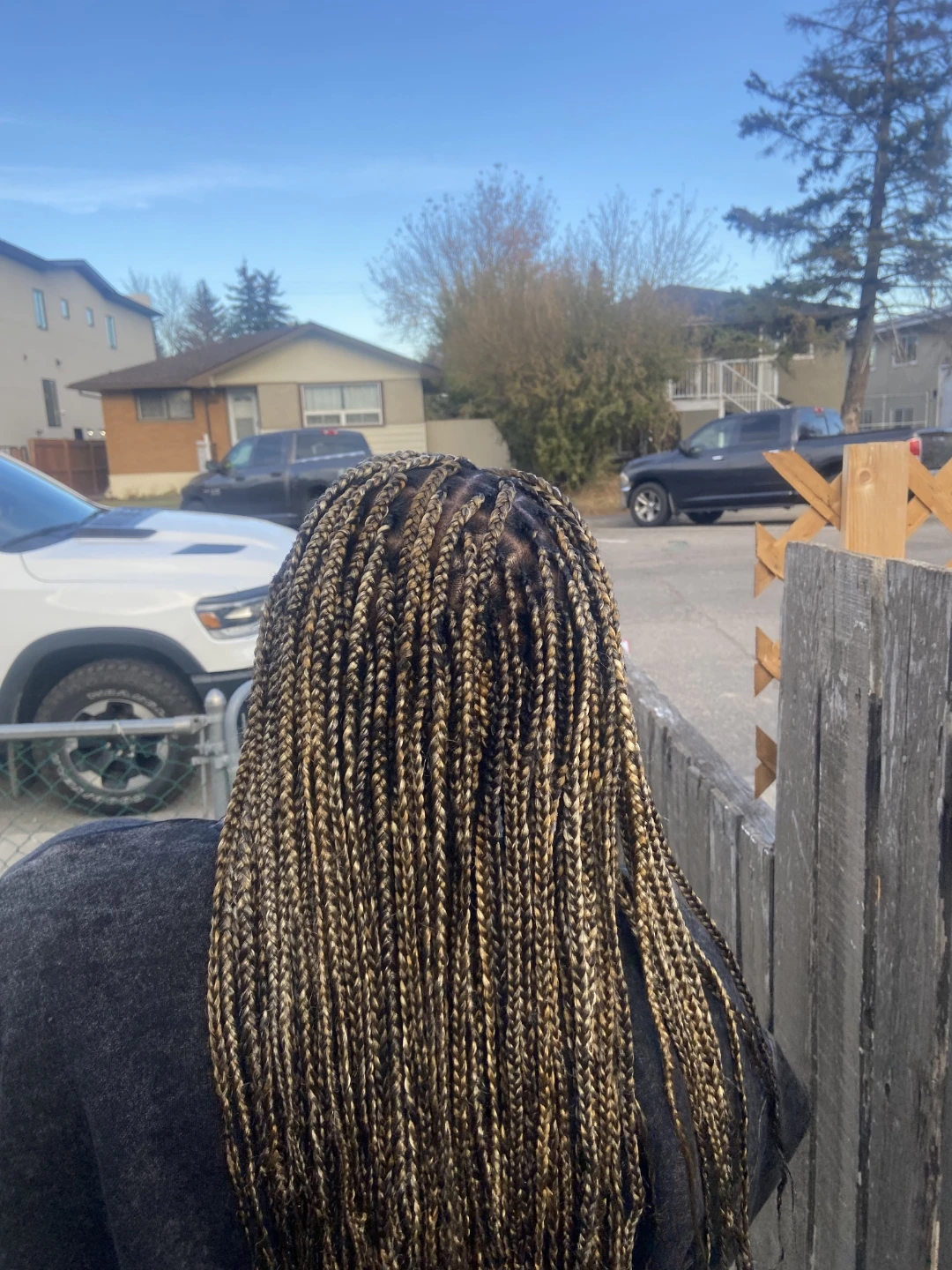 Braids - photo 4