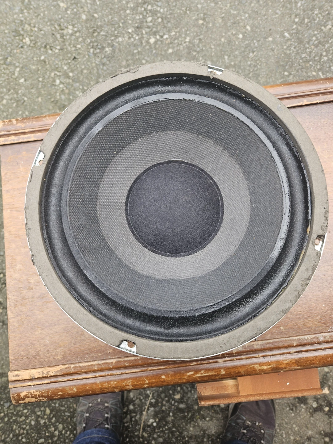 Replacement Speaker Driver M1068 DGE8 - photo 3