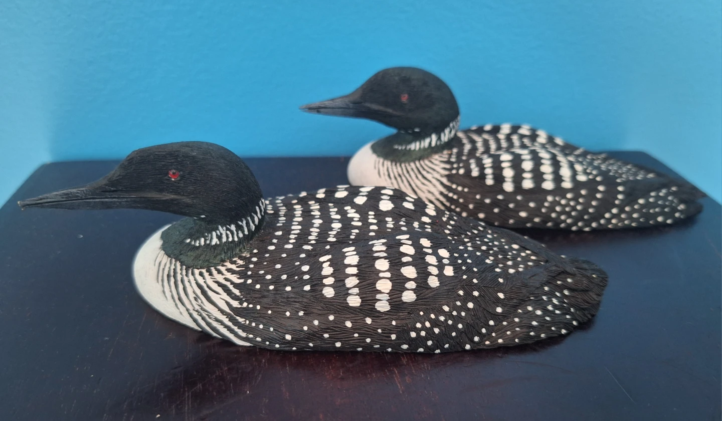 Vintage Signed 1989 S. Robinson Hand-Carved Wooden Loon Decoys