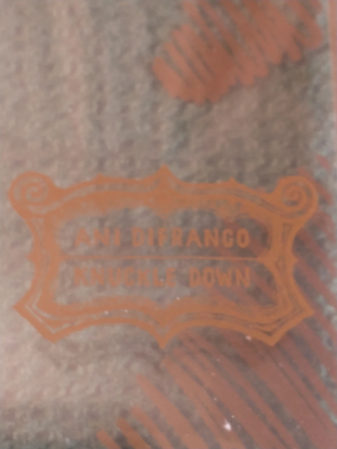 Ani DiFranco - Knuckle Down CD - photo 2