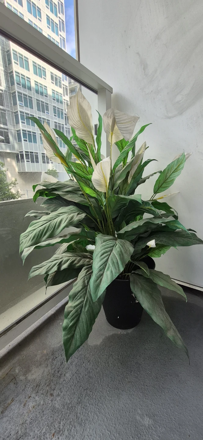 Artificial plant for home ,patio decoration