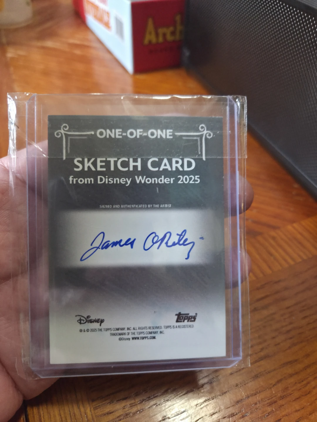 Topps Disney Wonder 2025 One-of-One Sketch Card - photo 2