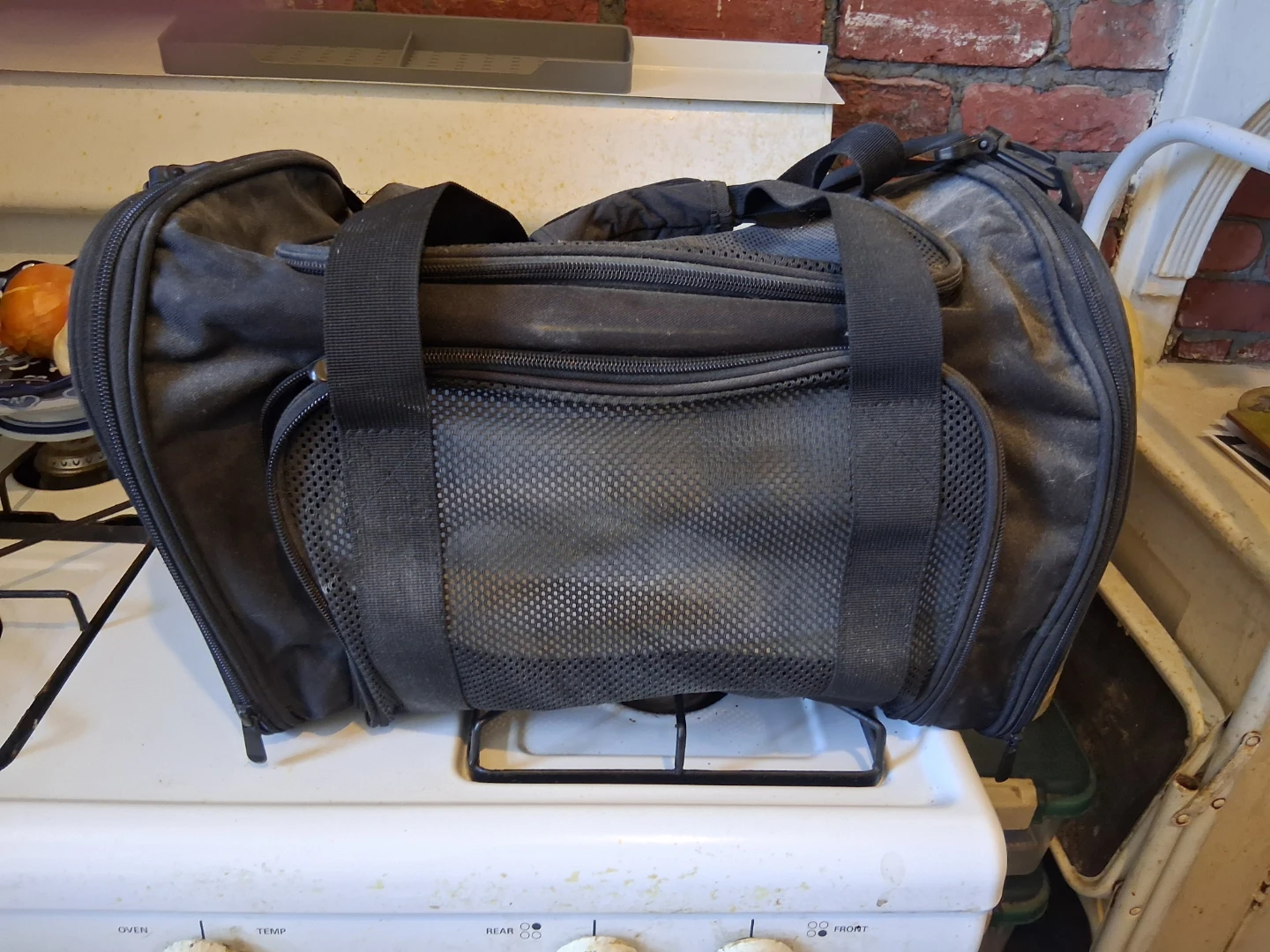Black Pet Travel Carrier