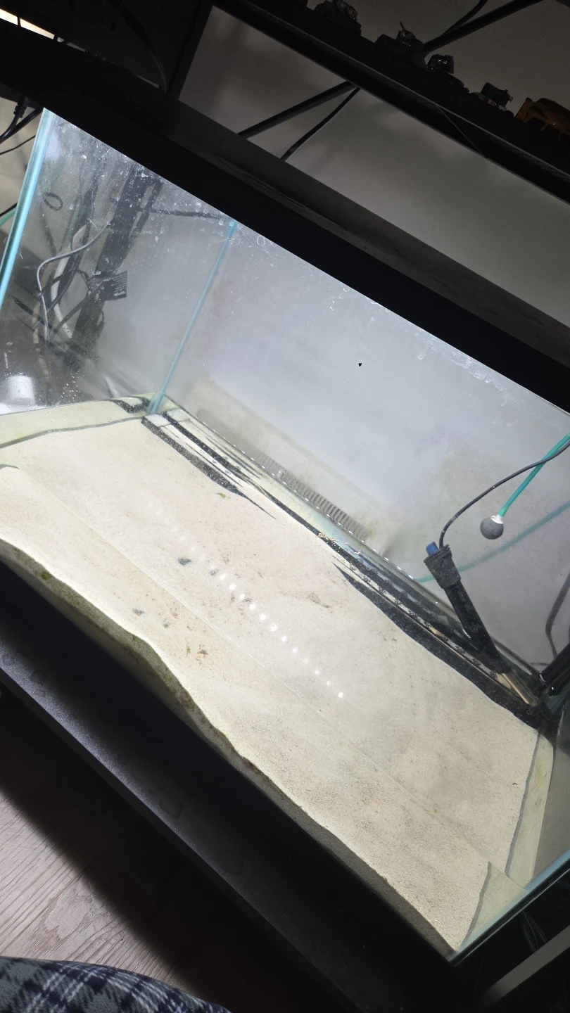 fish tank - photo 4