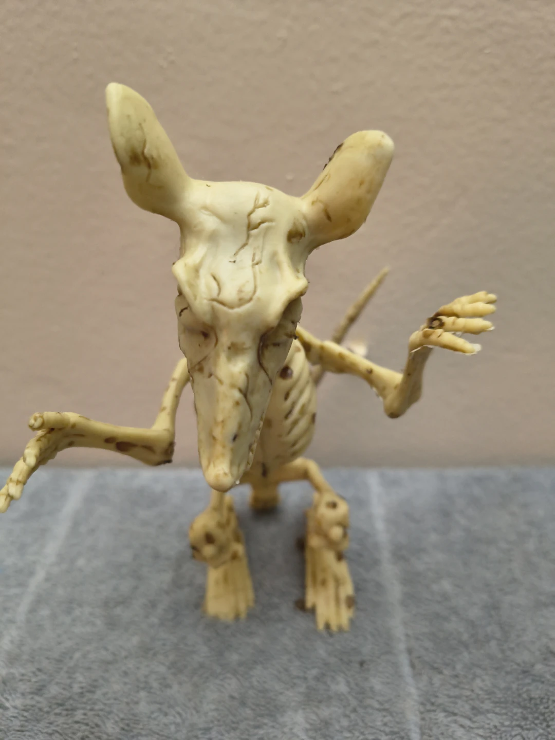 Halloween animals - photo 3
