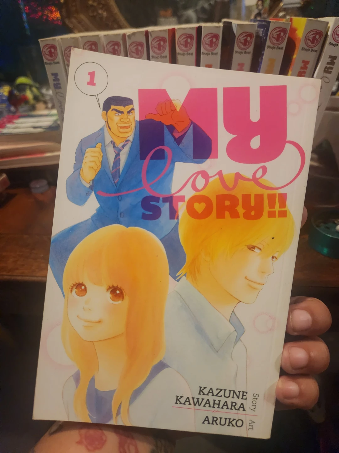 My Love Story Manga vol 1-13