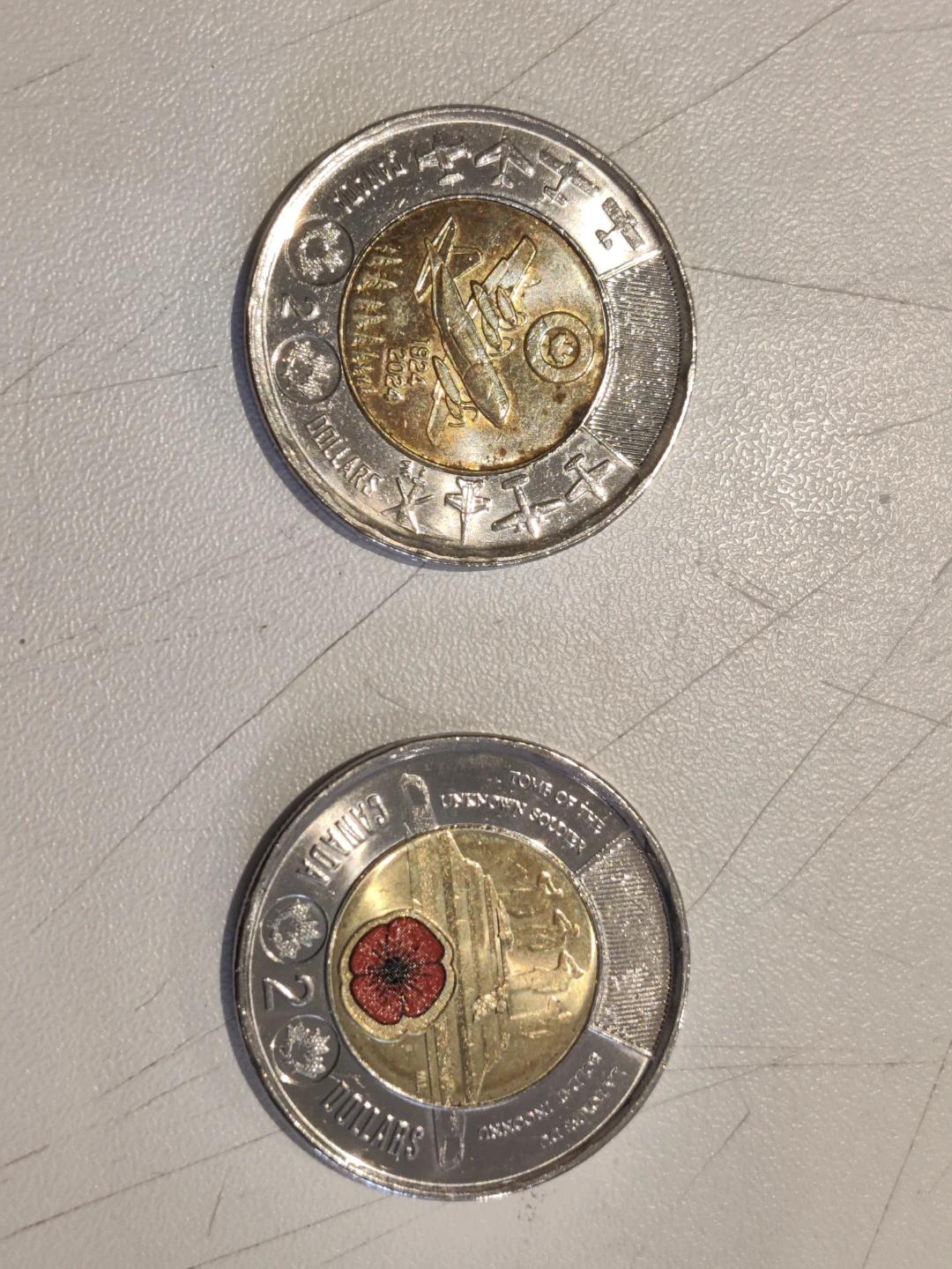 Two Canadian Loonie Coins