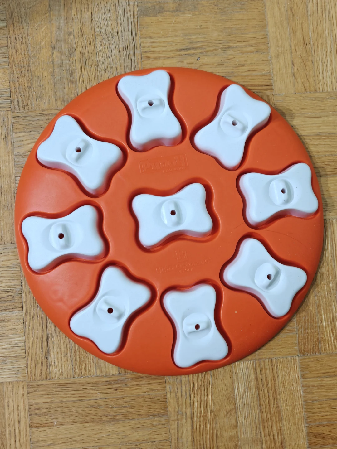 Outward Hound Interactive Treat Puzzle Dog Toy Level 1