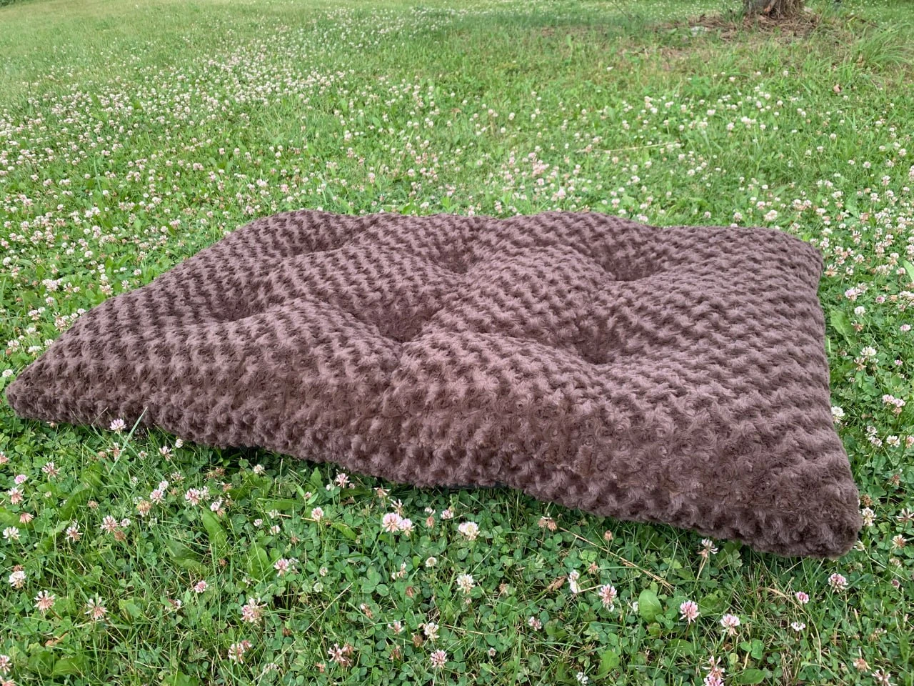 NEVER USED!!  Bailey & Bella Dog Mat