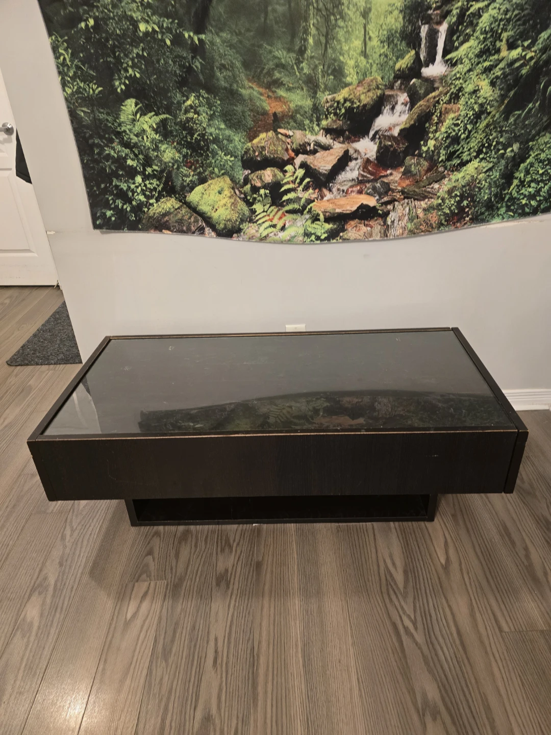 Dark Wood Coffee Table with Glass Top - photo 2