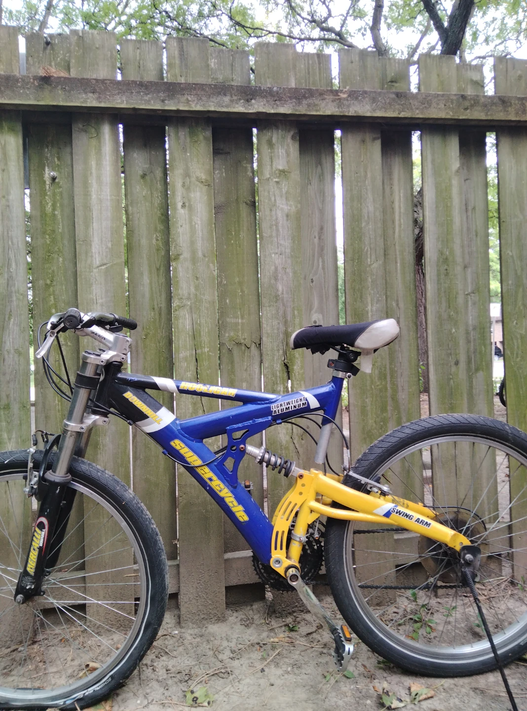Supercycle Hooligan Downhill Mountain Bike