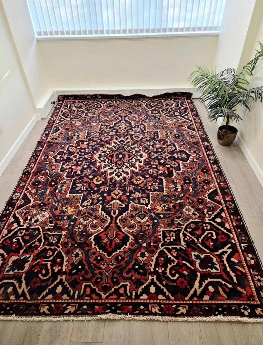 Authentic Persian Hand Knotted Wool Bakhtiyar Area Rug