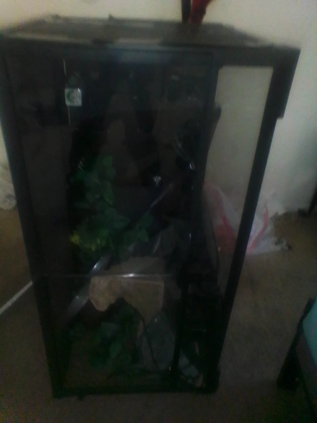 Exo Terra Glass Terrarium 18x18x36