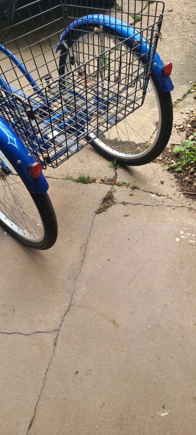 Shwinn Meredith trike - photo 2