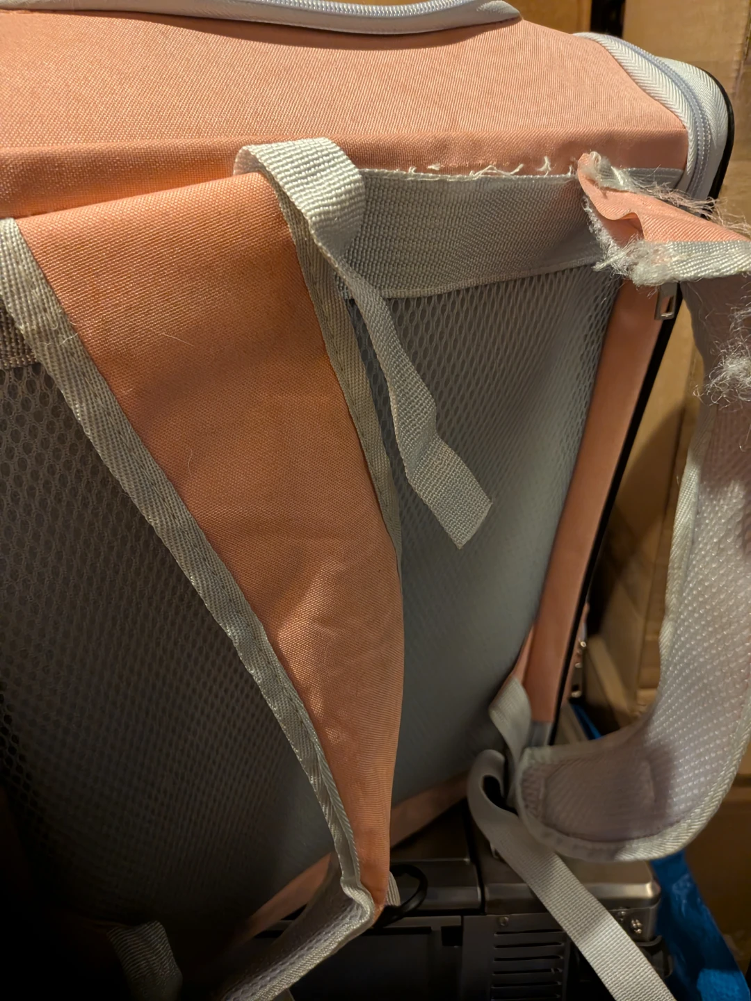 Free Cat Carrier - photo 2