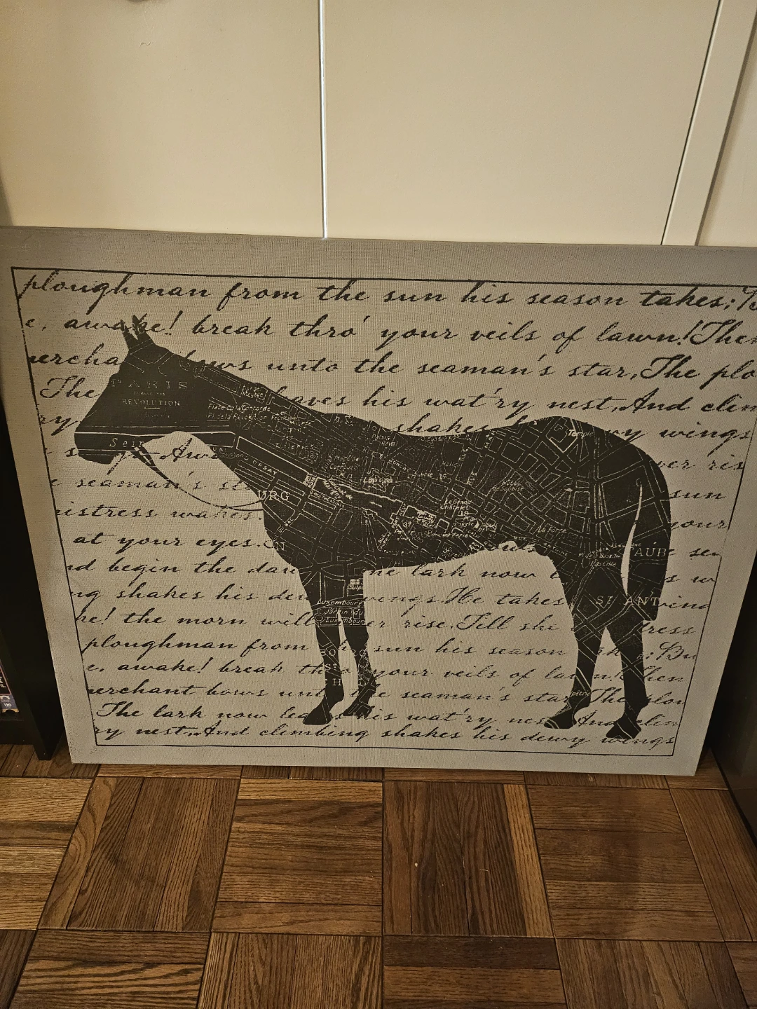 🏈 Horse Canvas