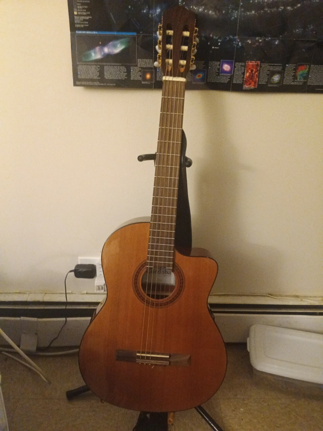 Cordoba Acoustic Guitar