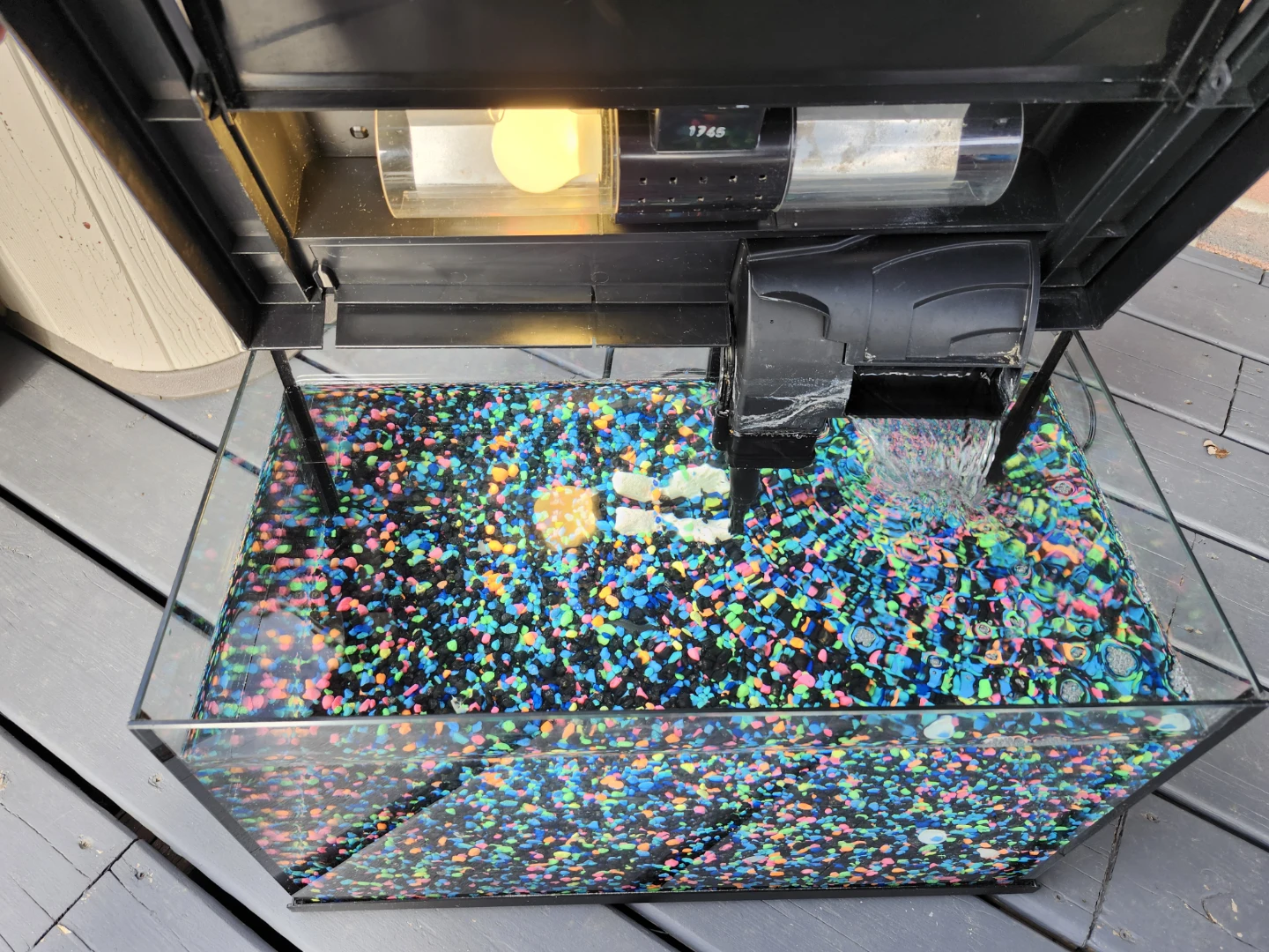 8 Gallon Fish Tank - photo 4