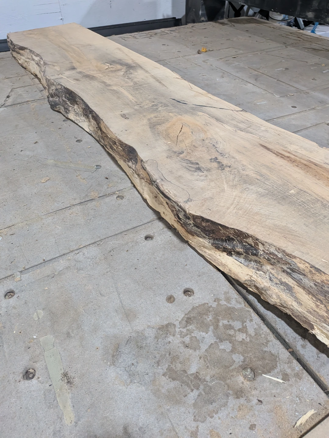 Live Edge Maple Wood Slab