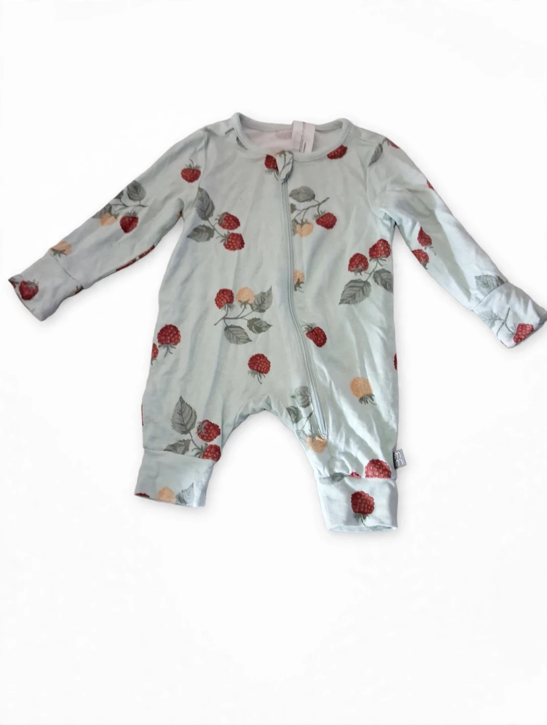 Baby unisex Raspberry Print Zipper Footie Pajamas