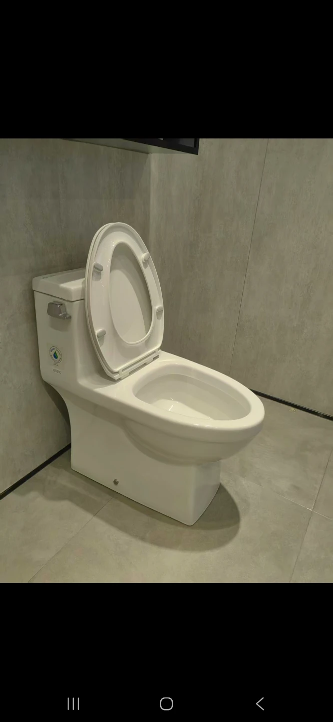 One piece Toilet