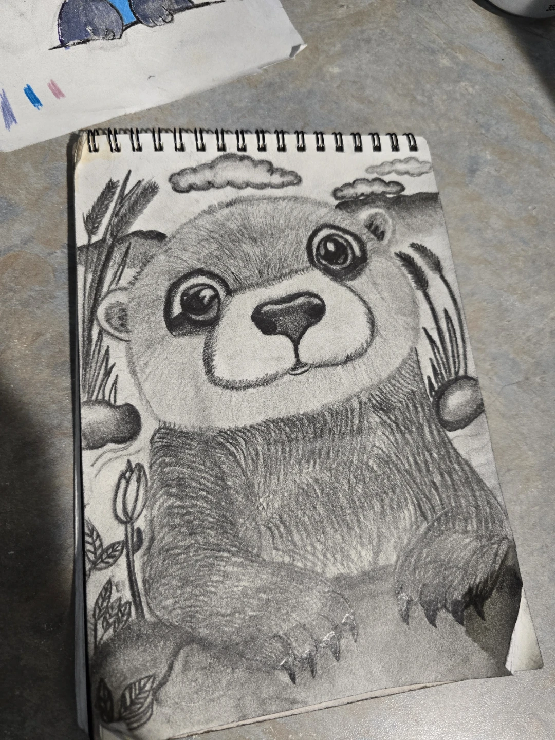 Original pencil and coloured pencil drawings