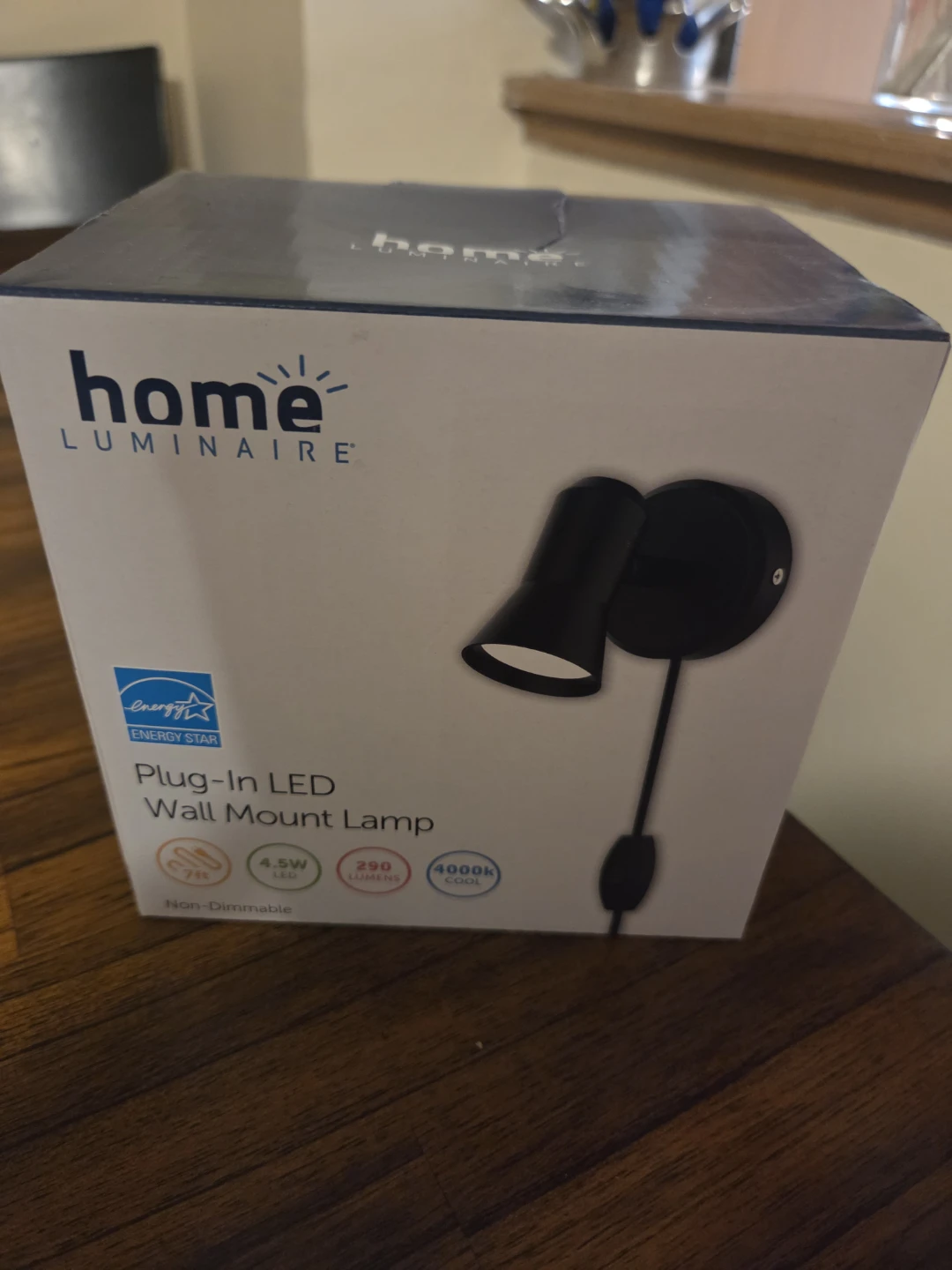 Plug-In LED Wall Mount Lamp