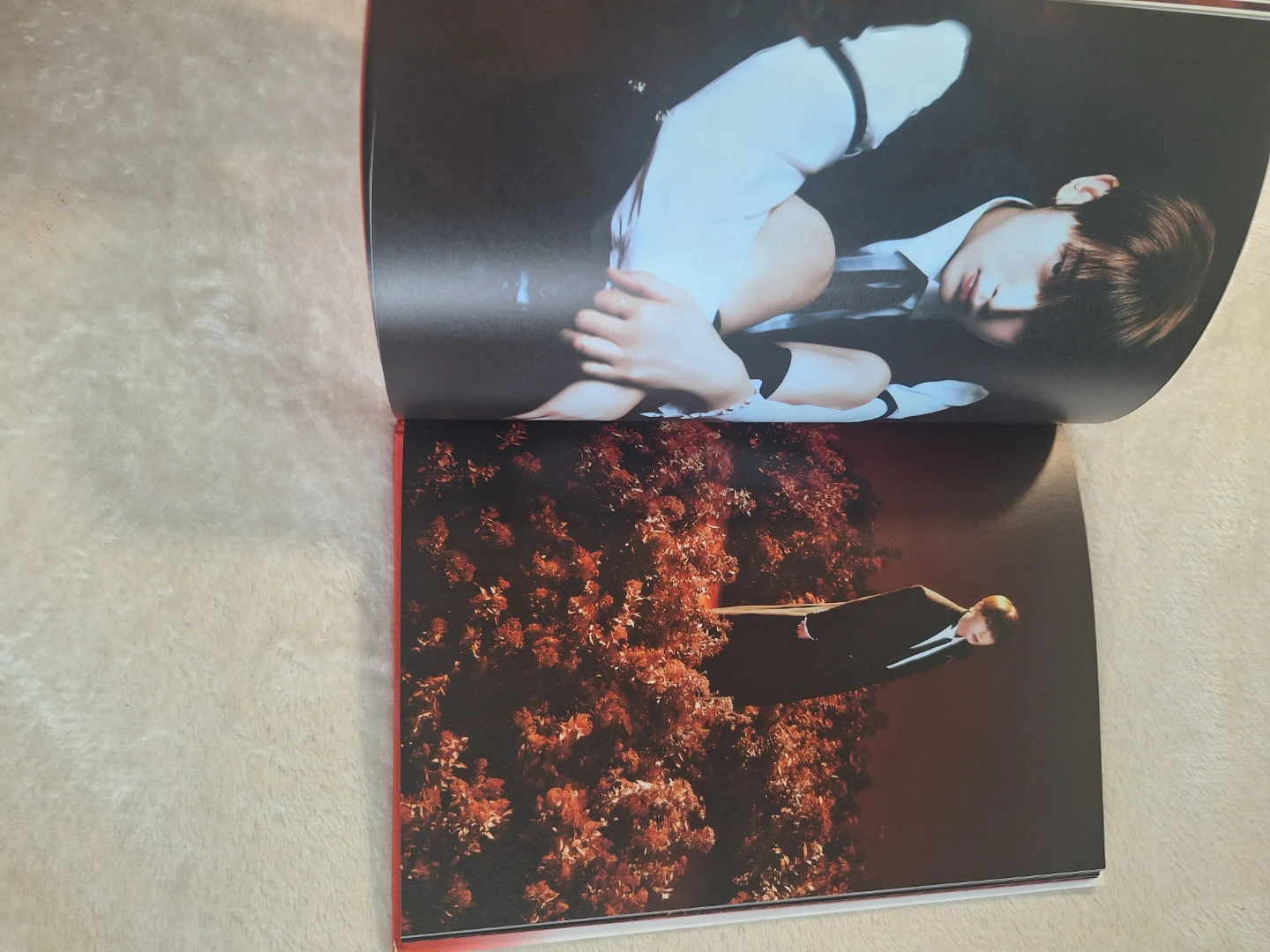 ENHYPEN 4TH MINI ALBUM [DARK BLOOD/STANDARD] - photo 5