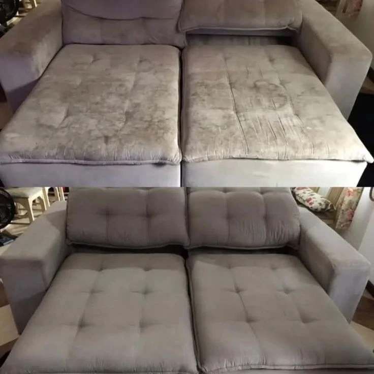 Professional Upholstery Cleaning Service