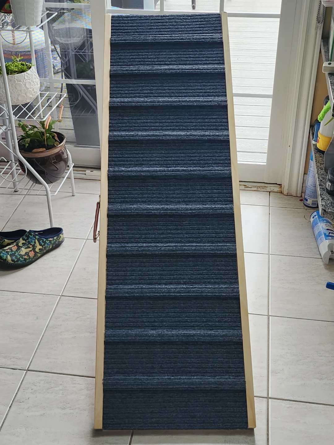 Pet Ramp for Dogs and Cats