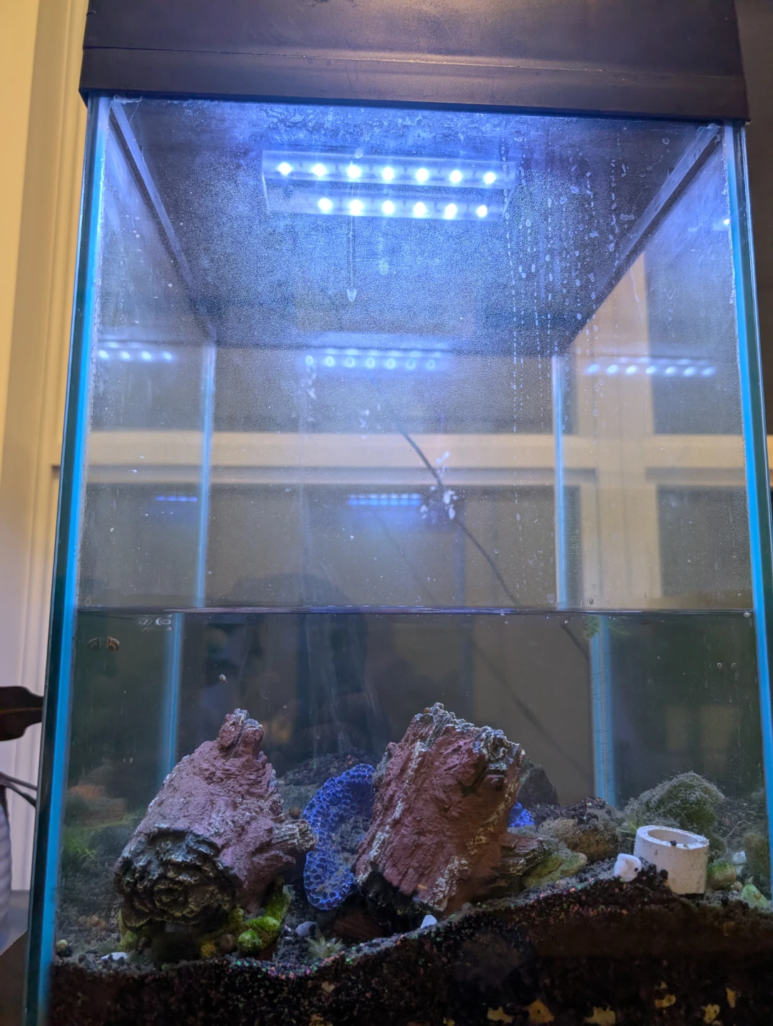 Top Fin 10 Aquarium 10 Gallons