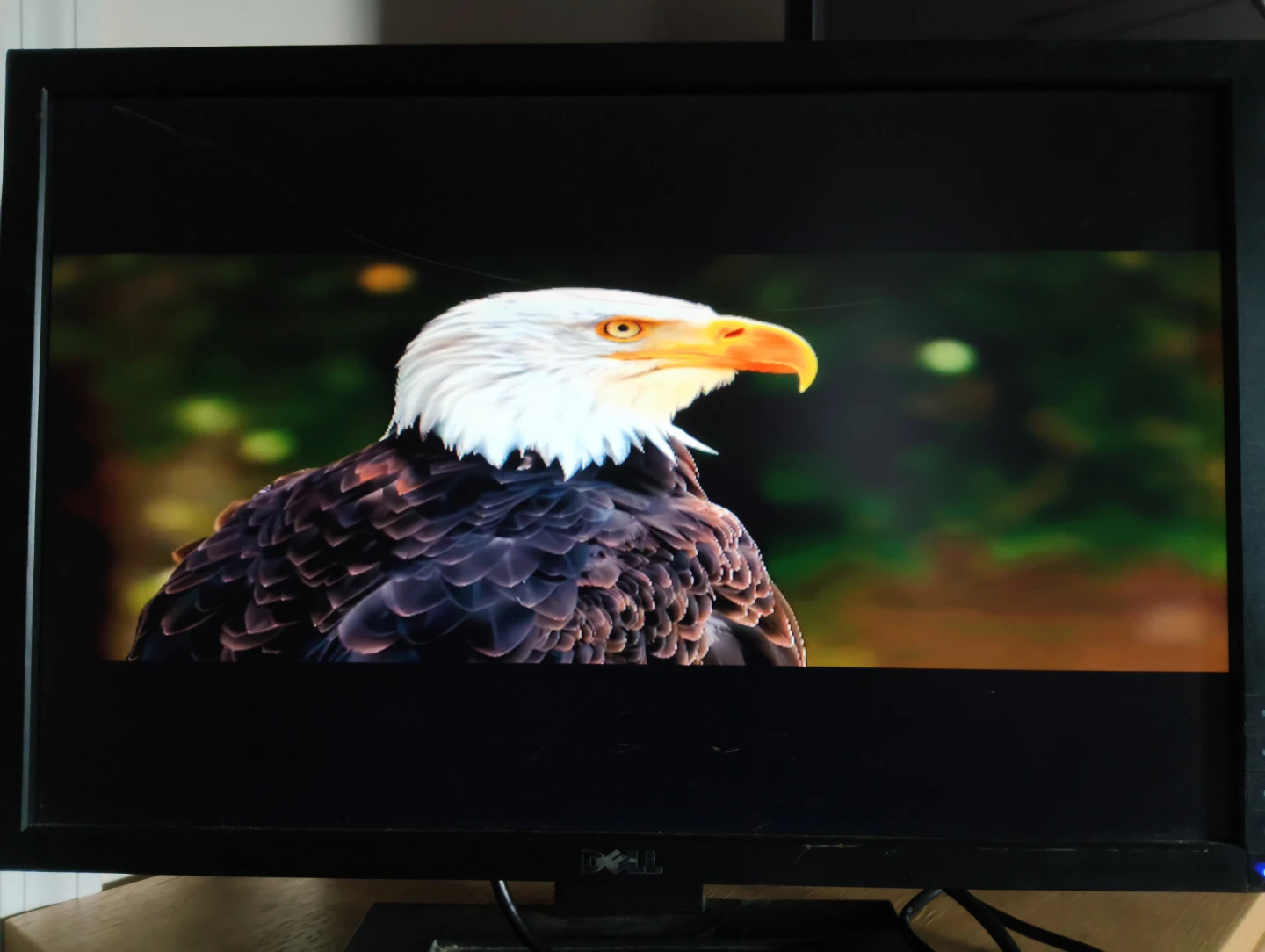 10 bucks take it or leave it no cables