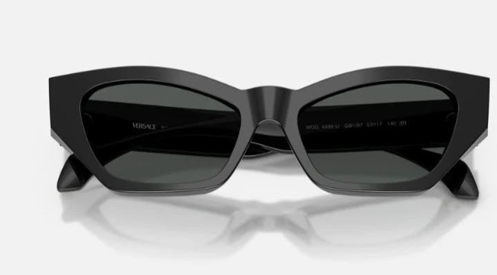 Versace 4488-U Sunglasses Black