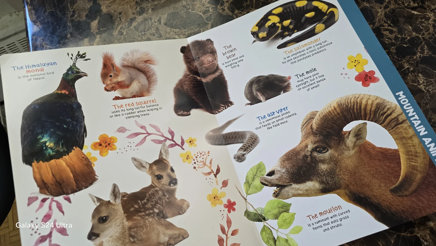 My Giant Animal Book Children's Book - photo 4