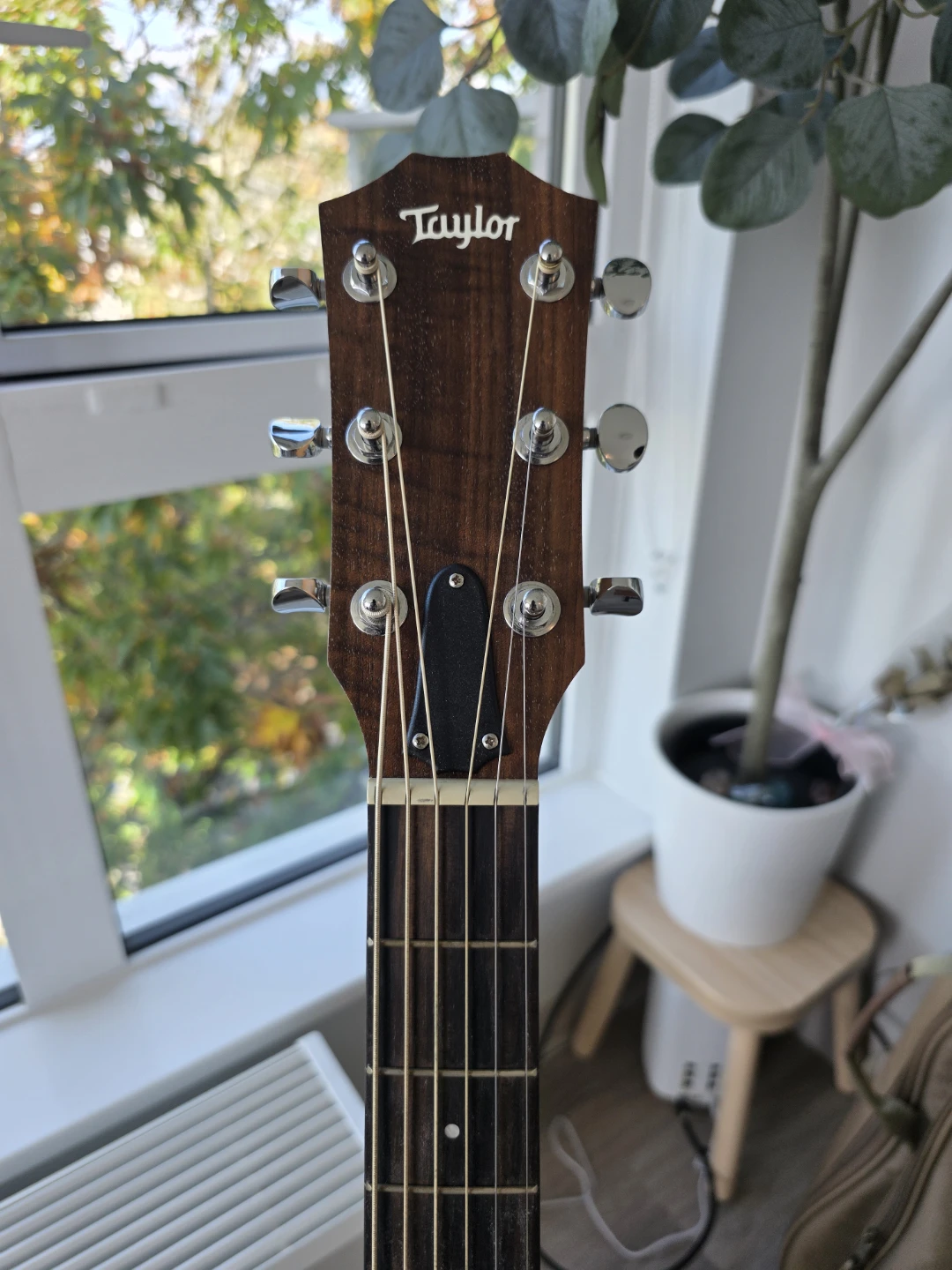 Taylor Big Baby Taylor (BBT) Acoustic Guitar + Original Gig Bag - photo 4
