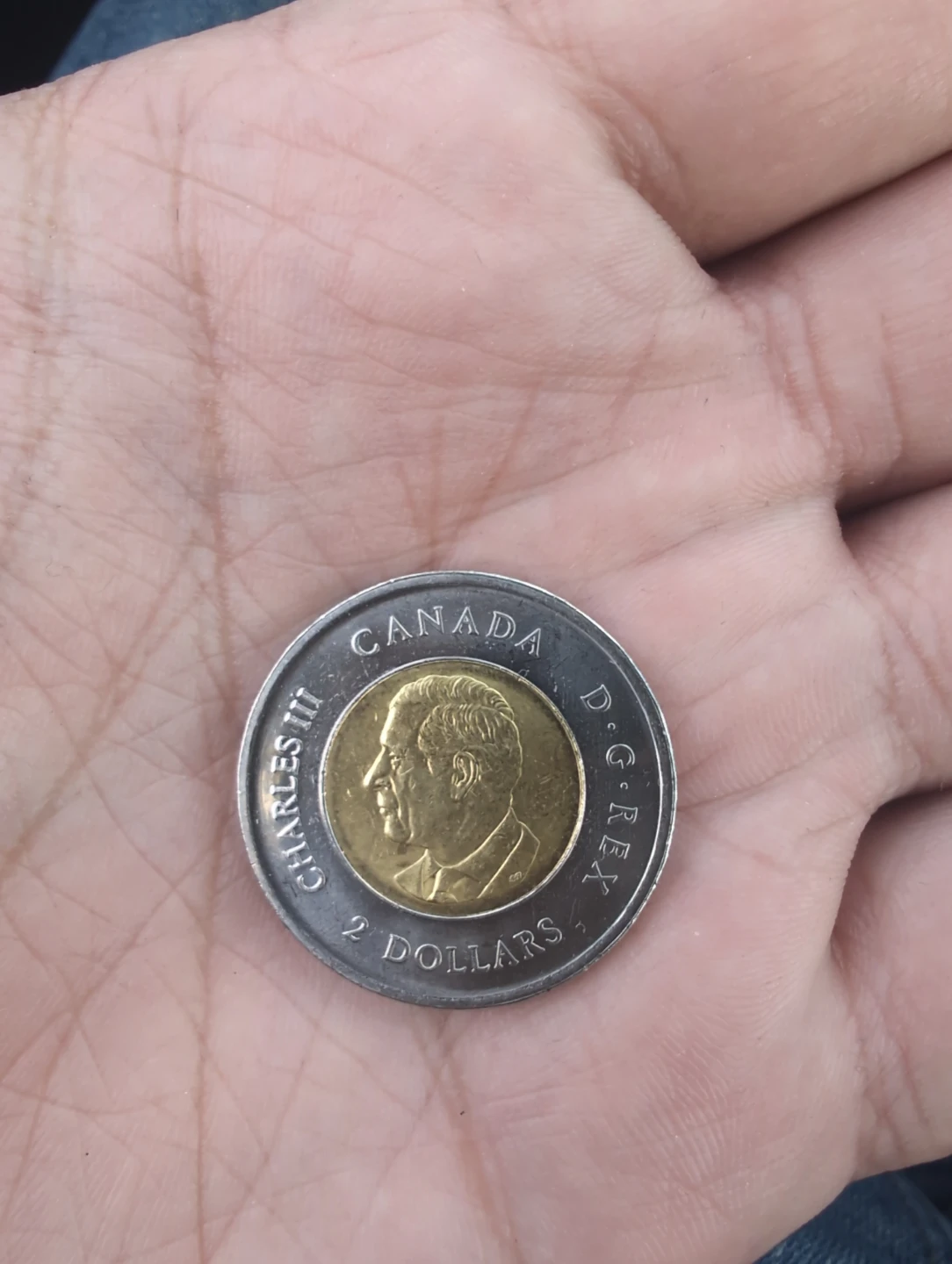 Royal Canadian Legion 2 Dollar Coin - photo 2