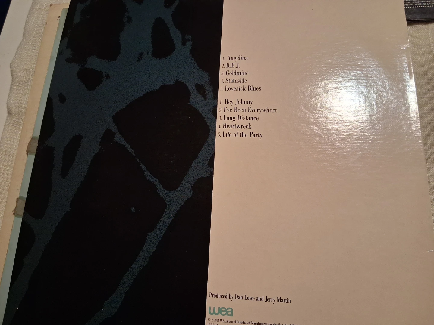 Vinyl Records - $2 each - photo 3