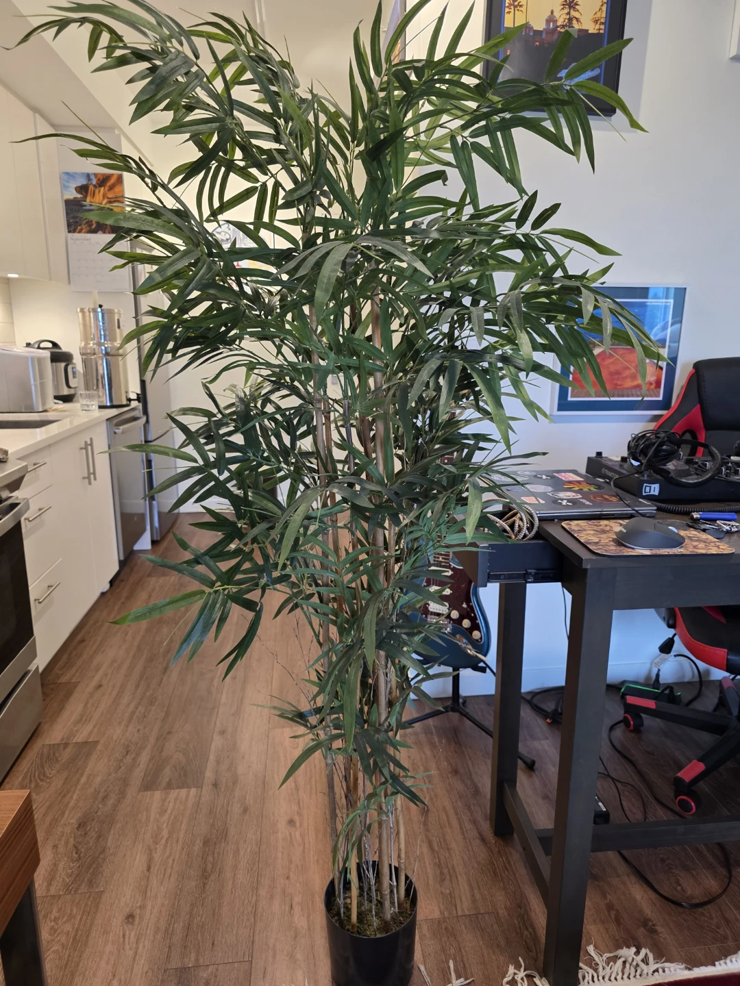 Huge faux Bamboo plant