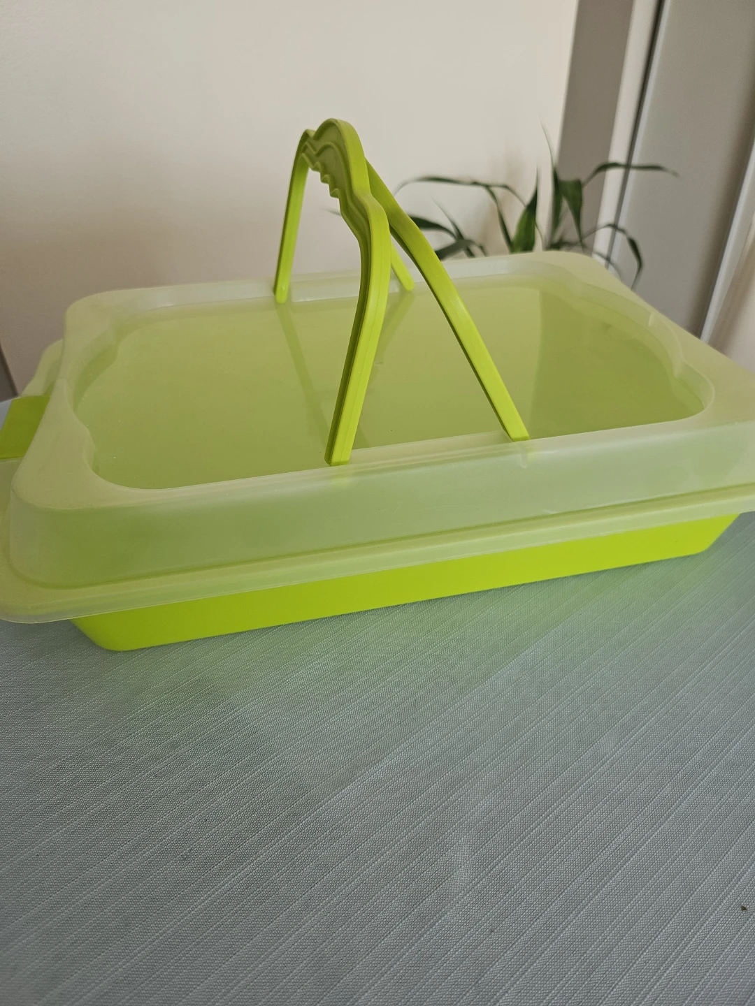 Tupperware Cake Carrier