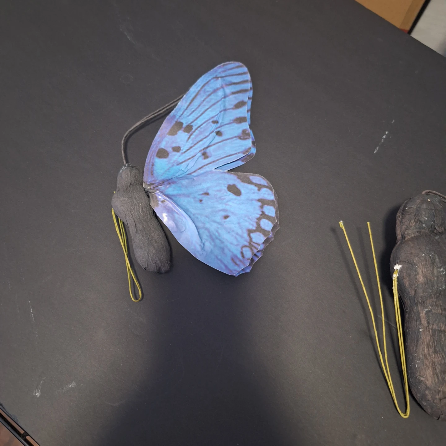 Blue Butterfly Decor - photo 4
