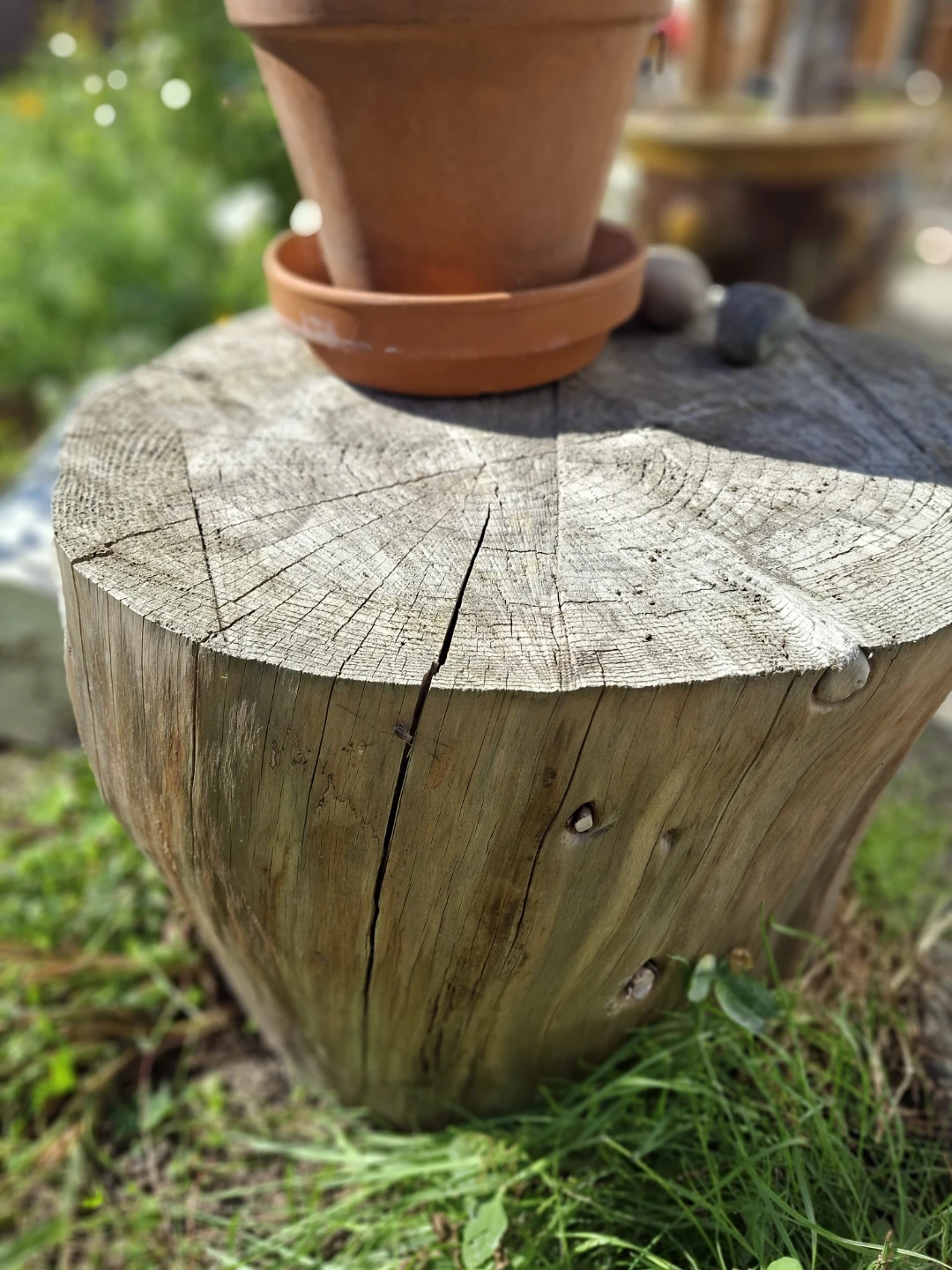 Natural Wood Log Side Table - photo 2