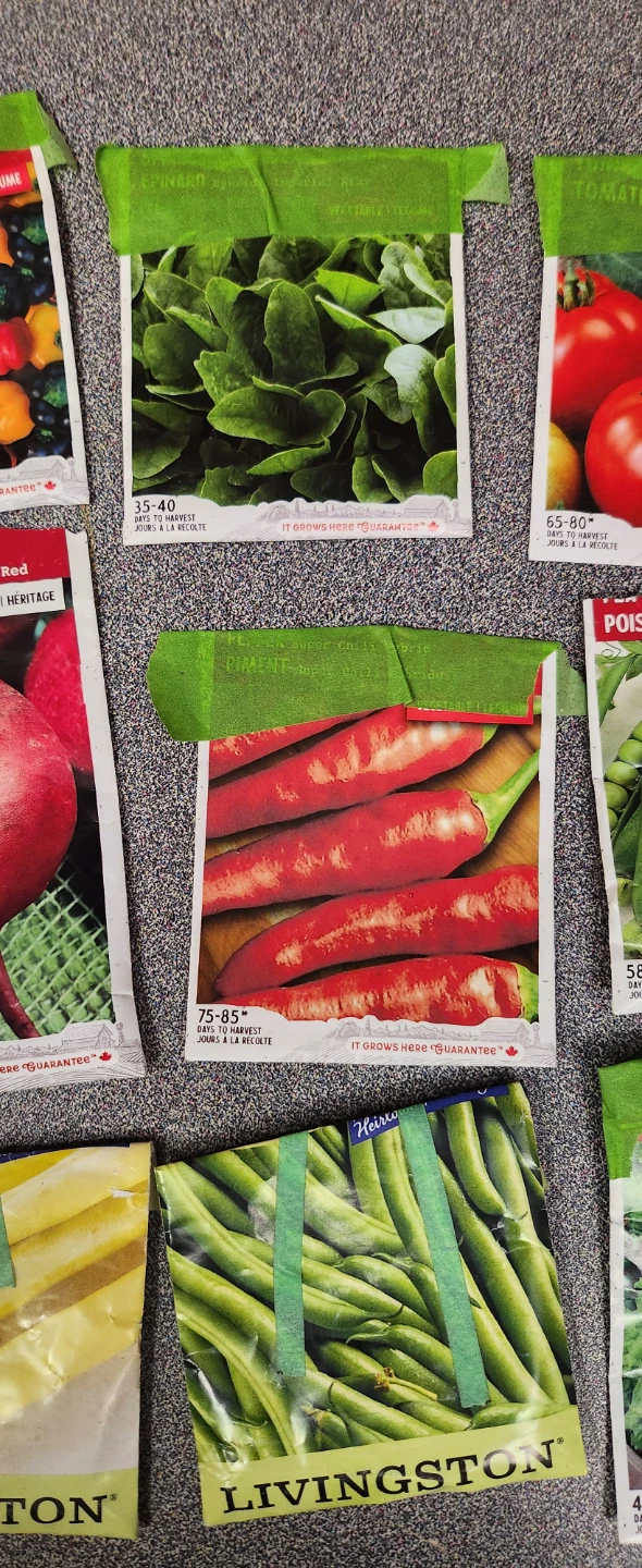Assorted Vegetable and Flower Seeds Collection - photo 5